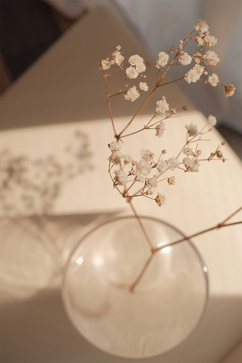 craft image